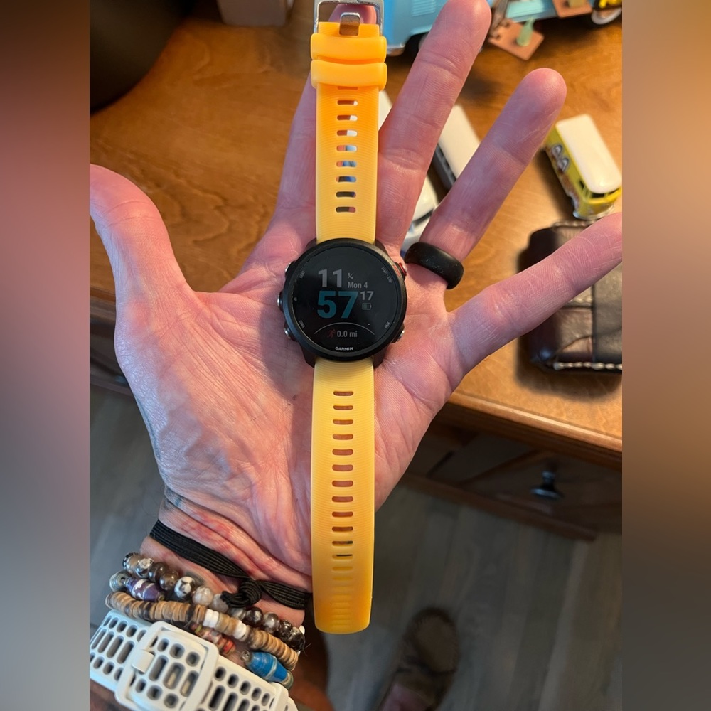 GARMIN 245
